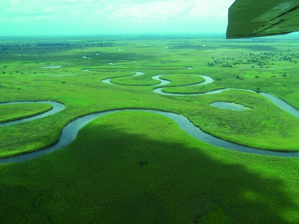 The Okavango River. Image by