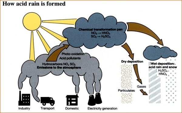 How Acid Rain is formed. Image by Wikispaces.