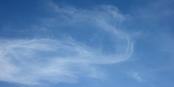 Cirrus clouds.