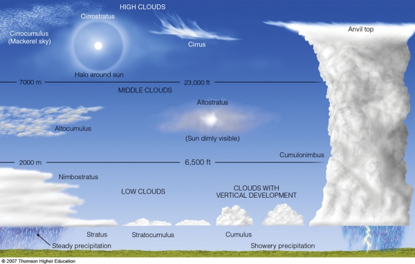 Common types of clouds.
