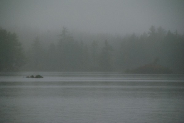 Drizzle. Image by Gothamgirlchronicles.
