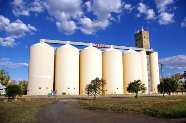 GMB Silo. Image by TheZimbabwean.co