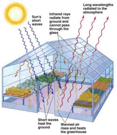 How a greenhouse works. Image via Hydroponics.
