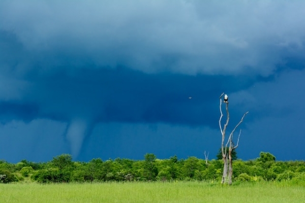 Mini "Tornado" over Lake Victoria. Image by National Geographic.