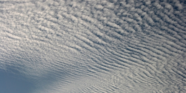 Altocumulus clouds.