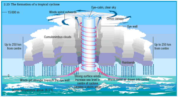 diagram of a cyclone cyclones free zimsec revision notes and past papers diagram of a cyclone cyclones free zimsec revision notes and past papers