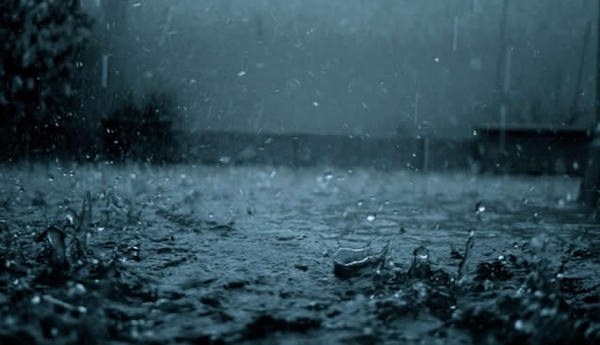 Rainfall. Image via the Herald.