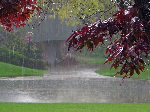 Rainy Weather. Image by Sodahead.