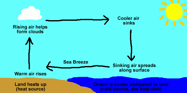 Sea breeze. Image by Brisbanehotairballooning.