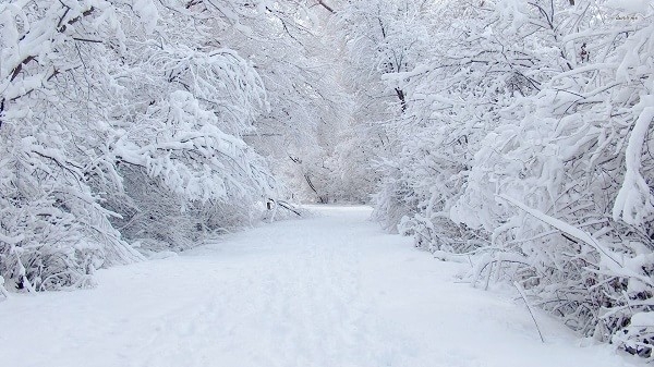 Snow. Image by Crossvillenews.