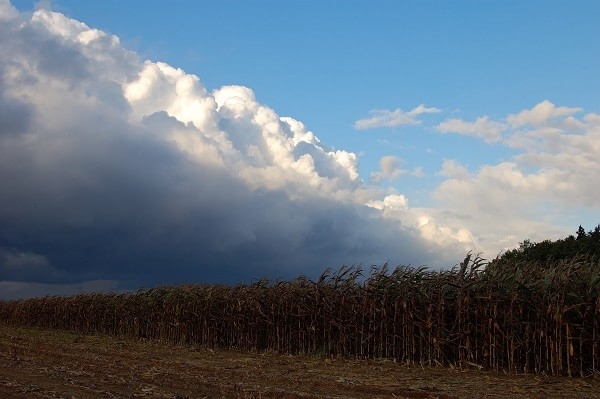 Weather on a Front. Image by DiyMid.