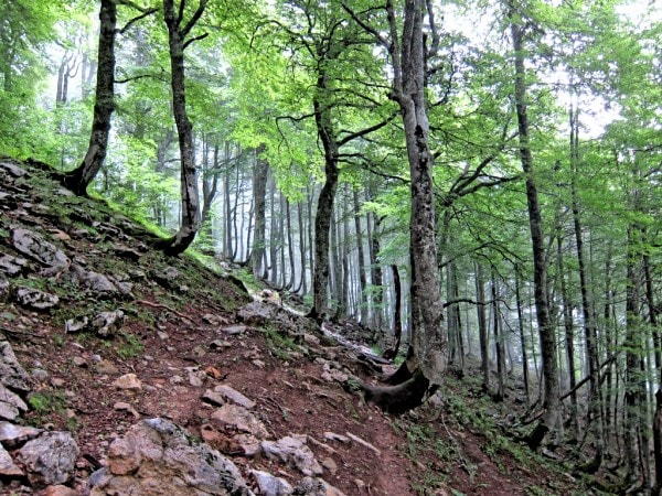 slope movement essay Mass movement: mass movement is dependent on the development of instability on a hill slope when equilibrium has been disturbed safety factor is a measured by ratio. slope movement essay Mass movement: mass movement is dependent on the development of instability on a hill slope when equilibrium has been disturbed safety factor is a measured by ratio.