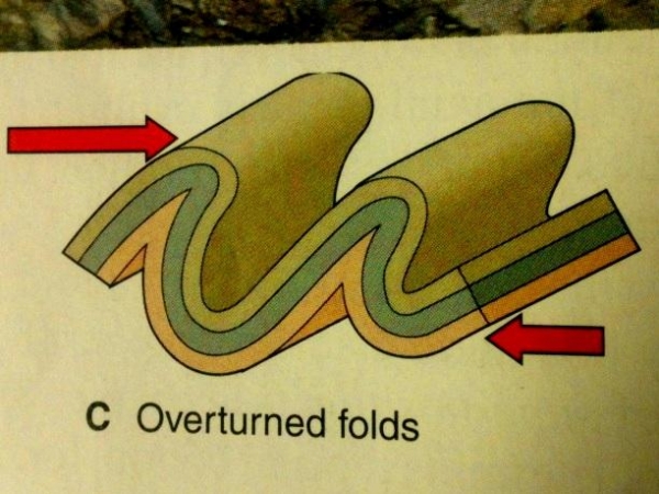 An overfold. Image by StudyBlue.