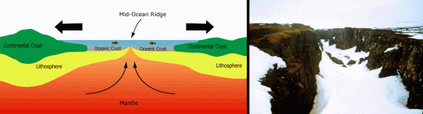 Divergent plates. Image by Cornel.