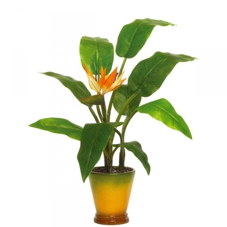 Potted plant. Image credit artificialplantsandtrees.com