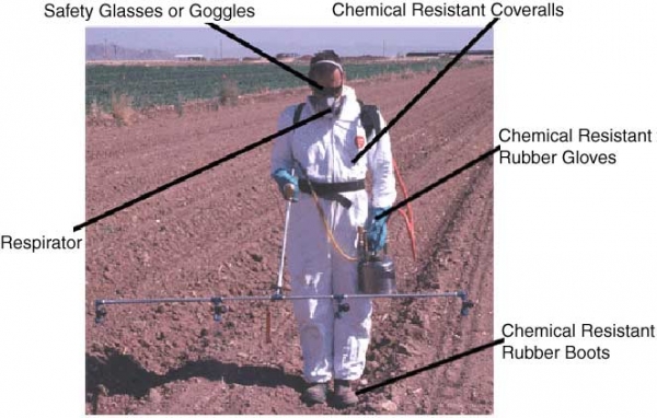 Safe chemical use. Image credit arizona.edu