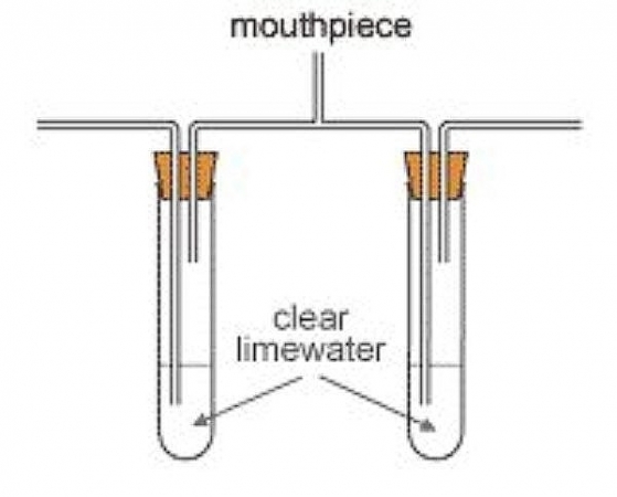 Comparing Inhaled and exhaled air. Image credit pixshark.com
